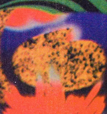 Electrónica en el club