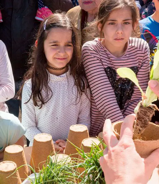 Huertos Montemadrid: talleres gratuitos para hortelanos inquietos