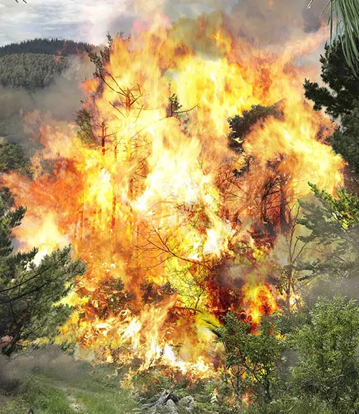 Inéditos 2019: tres jóvenes comisarios en la vanguardia del arte contemporáneo