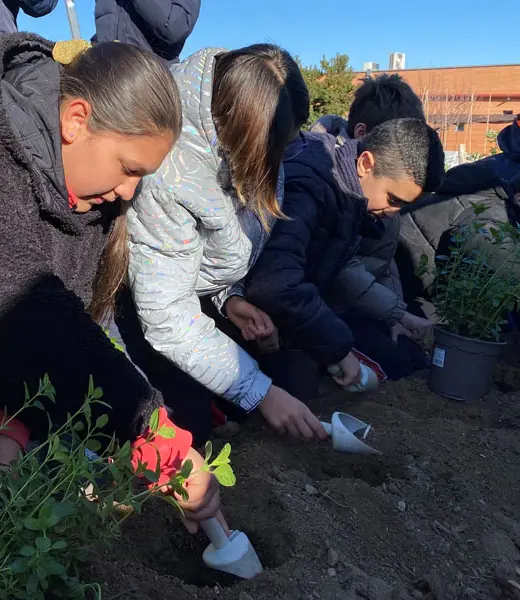 Los Huertos Montemadrid ya cuentan con un oasis de mariposas