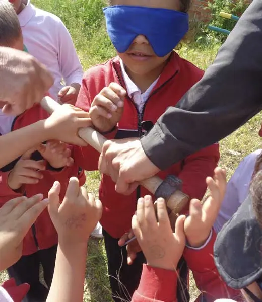 Decimos adiós a 2019 con una nueva reducción de la Huella de Carbono