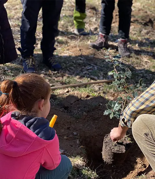 El proyecto ReforestaAcción avanza con dos nuevas plantaciones en 2023