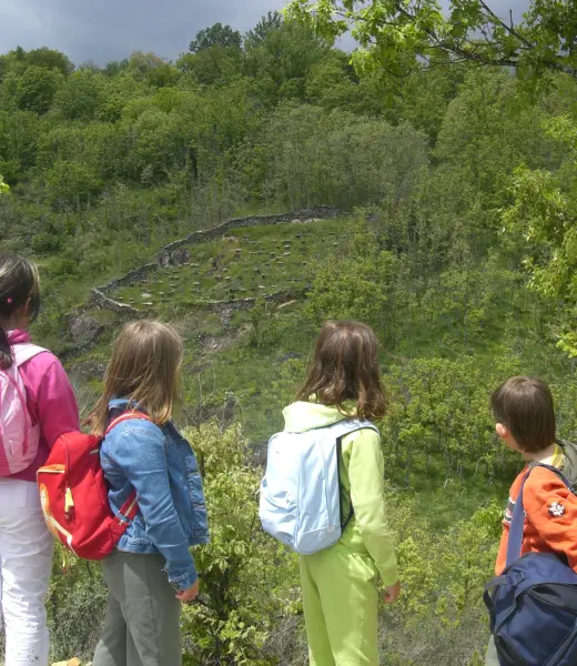 El Hayedo de Montejo es declarado Patrimonio de la Humanidad por la UNESCO
