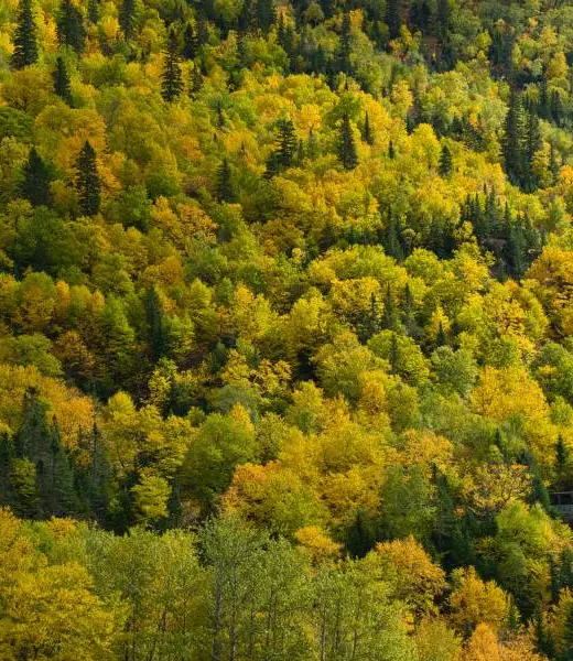 Apoyamos 21 proyectos en la IV Convocatoria de Medioambiente y Desarrollo Sostenible