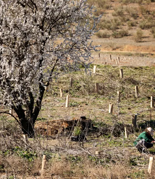 Estos son los proyectos de la VI Convocatoria de Medioambiente y Desarrollo Sostenible
