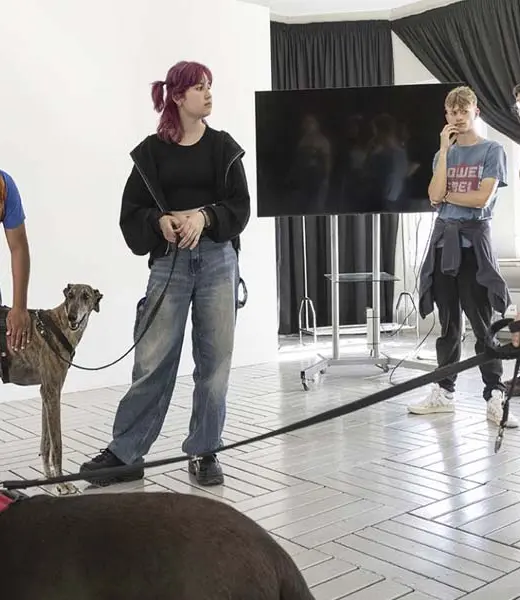 Convenio para estudiar el entrenamiento de perros en adopción con jóvenes voluntarios