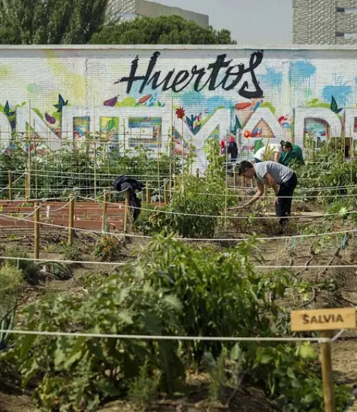 Un año de #HuertosMontemadrid, de ocio sostenible y pedagogía ecológica