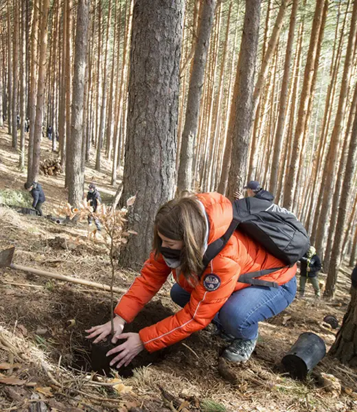 Abrimos la IV Convocatoria de Medioambiente y Desarrollo Sostenible