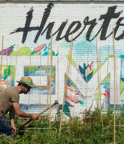 Cultiva en tu ciudad con Huertos Montemadrid