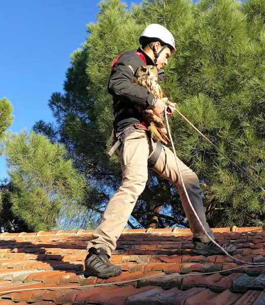 Resolución de la III Convocatoria de Medioambiente y Desarrollo Sostenible